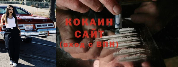 кокс Алексин